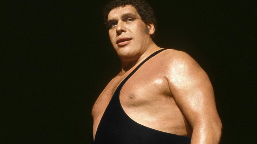 andré the giant